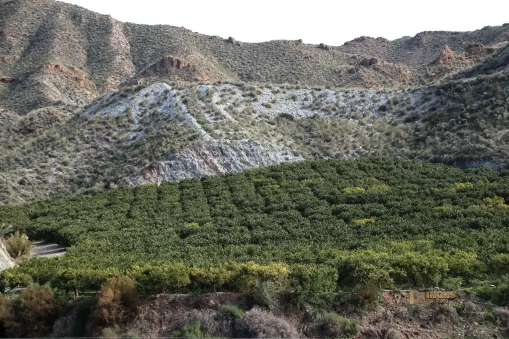 Die Mine de los Tres Pacos bei Cuevas del Almanzora 1 zitronenplantage bei cuevas del amanzora 2459