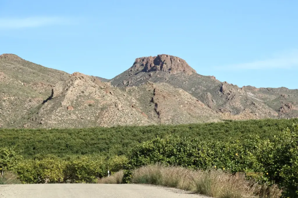 Die Mine de los Tres Pacos bei Cuevas del Almanzora 4 zitronenplantage bei cuevas del amanzora 2656
